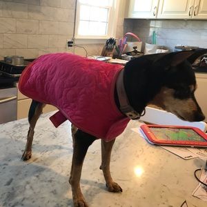 Coach pink dog coat size small. Rare! So Cute!